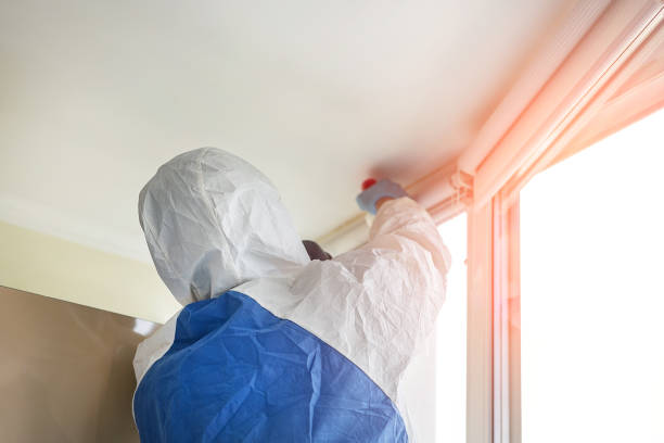 Why You Should Choose Our Mold Remediation Services in Windham, OH