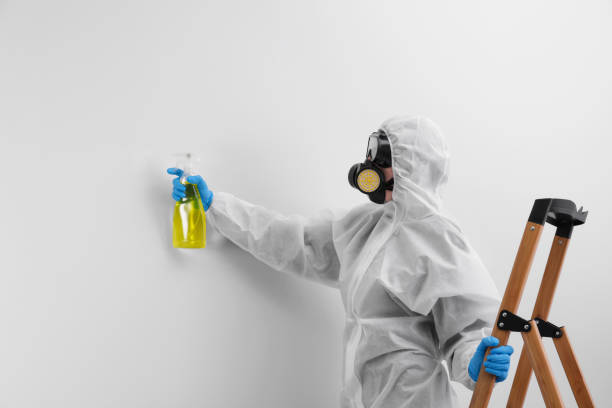 Biohazard Mold Removal in Windham, OH